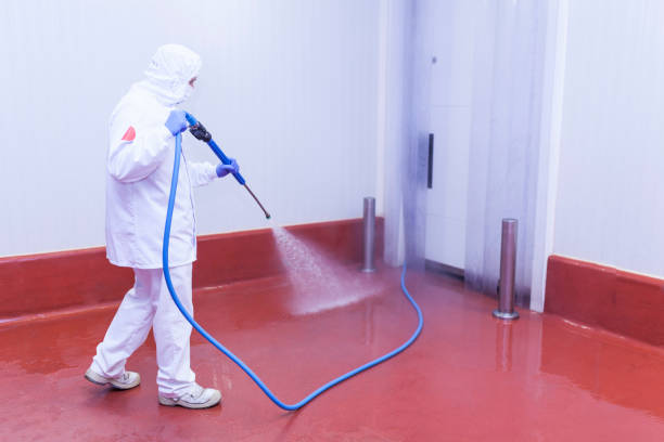 Best Gutter Cleaning  in Royal Kunia, HI