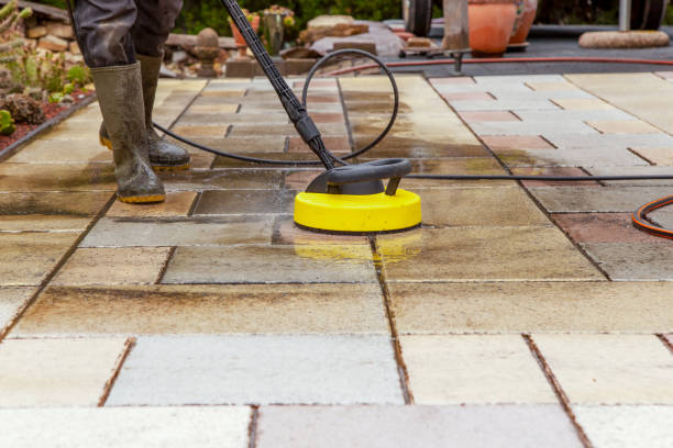 Animal Enclosure Cleaning in Royal Kunia, HI